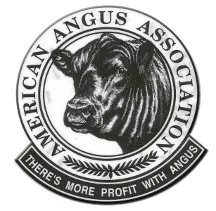 American Angus Association