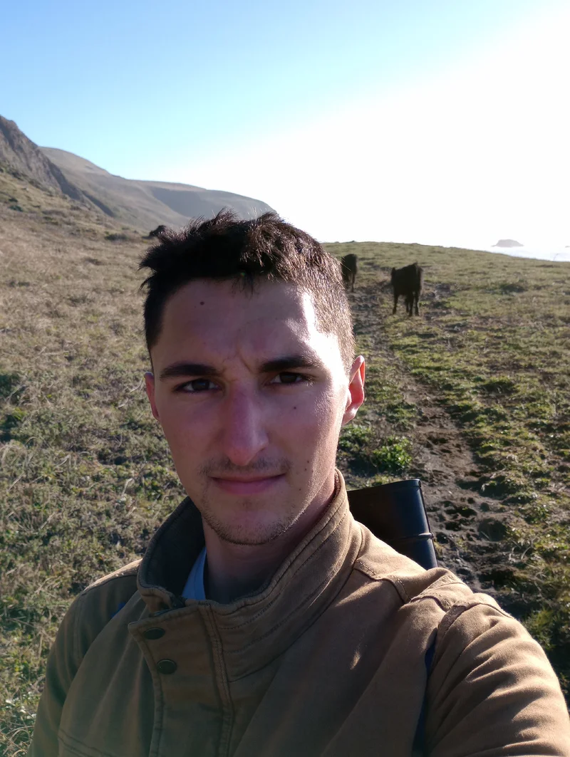 Rancher with cattle